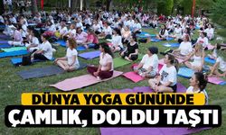 Denizli'de Çamlık Parkı Yogacılarla Doldu Taştı