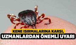 Kene Isırmalarına Karşı, Uzmanlardan Önemli Uyarı
