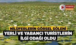 Nilüferlerin görsel şöleni yerli ve yabancı turistlerin ilgi odağı oldu