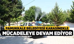 Pamukkale Belediyesi Karasinekle Mücadeleye Devam Ediyor