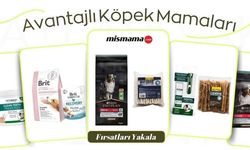 Pluxee Yemek Kartı İle Kedi Maması Almanın Avantajları
