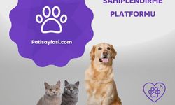 Doberman Hakkında Bilinmesi Gerekenler ve 2025 Güncel Doberman Fiyatları