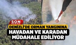 Denizli'de orman yangınına havadan ve karadan müdahale ediliyor