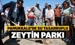Pamukkale'de Su Tasarruflu Zeytin Parkı