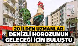 20 ilden uzmanlar Denizli Horozunun geleceği için buluştu