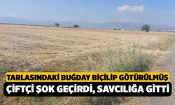 Denizli'de Garip Olay, Tarlasındaki Buğdayı Biçilip Samanı Dahil Götürülmüş