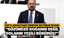 CHP’li Arpacı’dan TBMM’de Zeytinlik İsyanı, “Gözünüzü Doğanın Değil Doların Yeşili Bürümüş!”
