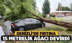 Denizli'de fırtına 15 metrelik ağacı devirdi