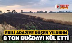 Ekili araziye düşen yıldırım 8 ton buğdayı kül etti