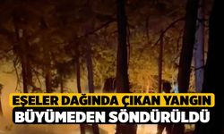 Eşeler Dağında çıkan yangın büyümeden söndürüldü