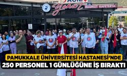 Pamukkale Üniversitesi Hastanesi'nde 250 personel 1 günlüğüne iş bıraktı