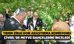 TBMM Zirai Don Araştırma Komisyonu Çivril'de meyve bahçelerini inceledi