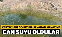 Yaptıkları göletlerle yaban hayatına can suyu oldular