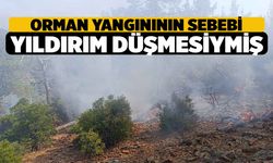 Acıpayam'daki Yangının Sebebi, Yıldırım Düşmesi