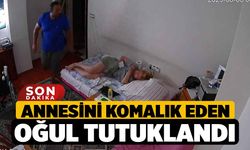 Annesini Komalık Eden Oğul tutuklandı