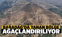 Babadağ’da Yanan Ormanlar Yeniden Ağaçlandırılıyor