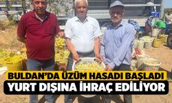 Yurt Dışına İhraç Edilen Buldan Üzümünde Hasat Başladı