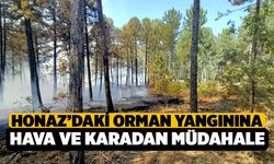 Honaz’da Orman Yangınına Müdahale Ediliyor