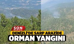 Denizli’de sarp arazide orman yangını
