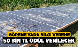 Görene yada Bilgi Verene 50 BİN TL Ödül Verilecek