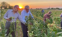 Milletvekili Şahin Tin’den Güney İlçesine Ziyaret