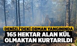 Denizli’deki orman yangınında 165 hektar alan kül olmaktan kurtarıldı