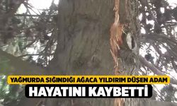 Yağmurda sığındığı ağaca yıldırım düşen adam hayatını kaybetti