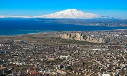 Van Otlu Peyniri: Bir Lezzetten Daha Fazlası, Bir Coğrafyanın Tescili