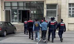 2 ilde hırsızlık olayı şüphelileri yakalandı, 14 gözaltı