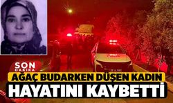 Ağaç budarken düşen kadın hayatını kaybetti