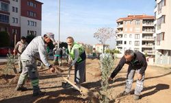Başkan Doğan, "Yeşili korumaya devam edeceğiz"