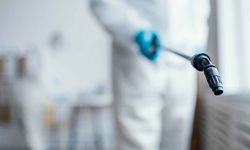 Böcek İlaçlama ile Kalıcı Sonuç Nasıl Alınır?