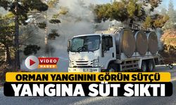 Ormanını Yandığını Gören Sütçü, Alevlere Süt Sıkarak Söndürdü