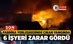 Fabrika yerleşkesinde çıkan yangında 6 işyeri zarar gördü