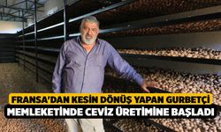 Fransa'dan kesin dönüş yapan gurbetçi memleketinde ceviz üretimine başladı