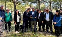 Milletvekili Şahin Tin, Müjdeyi Verdi