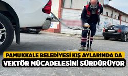 Pamukkale Belediyesi Kış Aylarında da Vektör Mücadelesini Sürdürüyor