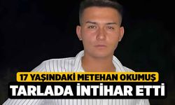 17 Yaşındaki Metehan Okumuş Tarlada İntihar Etti