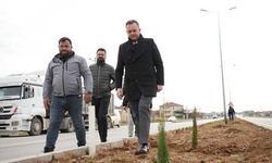 Çivril’de peyzaj çalışmaları devam ediyor