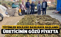 Tütün Üreticisi, İnşallah Bu Sene Emeğimizin Karşılığını Alırız