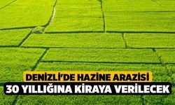 Denizli'de hazine arazisi 30 yıllığına kiraya verilecek