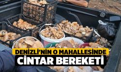 Denizli'nin O Mahallesinde Cintar Bereketi
