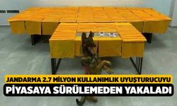 Jandarma 2.7 milyon kullanımlık uyuşturucuyu piyasaya sürülemeden yakaladı