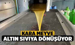 Kara meyve altın sıvıya dönüşüyor