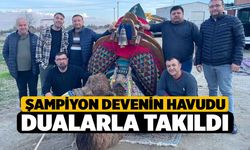Şampiyon devenin havudu dualarla takıldı