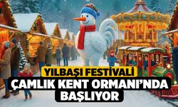 Yılbaşı Festivali Çamlık Kent Ormanı’nda başlıyor