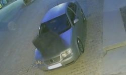 Buldan’da ağaçlar devrildi, bacalar uçtu