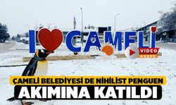 Çameli Belediyesi de nihilist penguen akımına katıldı