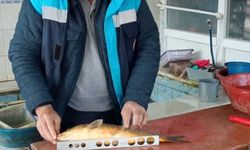 Çivril’de Su Ürünleri Satış Noktalarına Eş Zamanlı Denetim