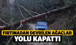 Fırtınadan devrilen ağaçlar yolu kapattı